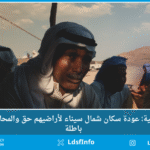 الويب-سايت-11