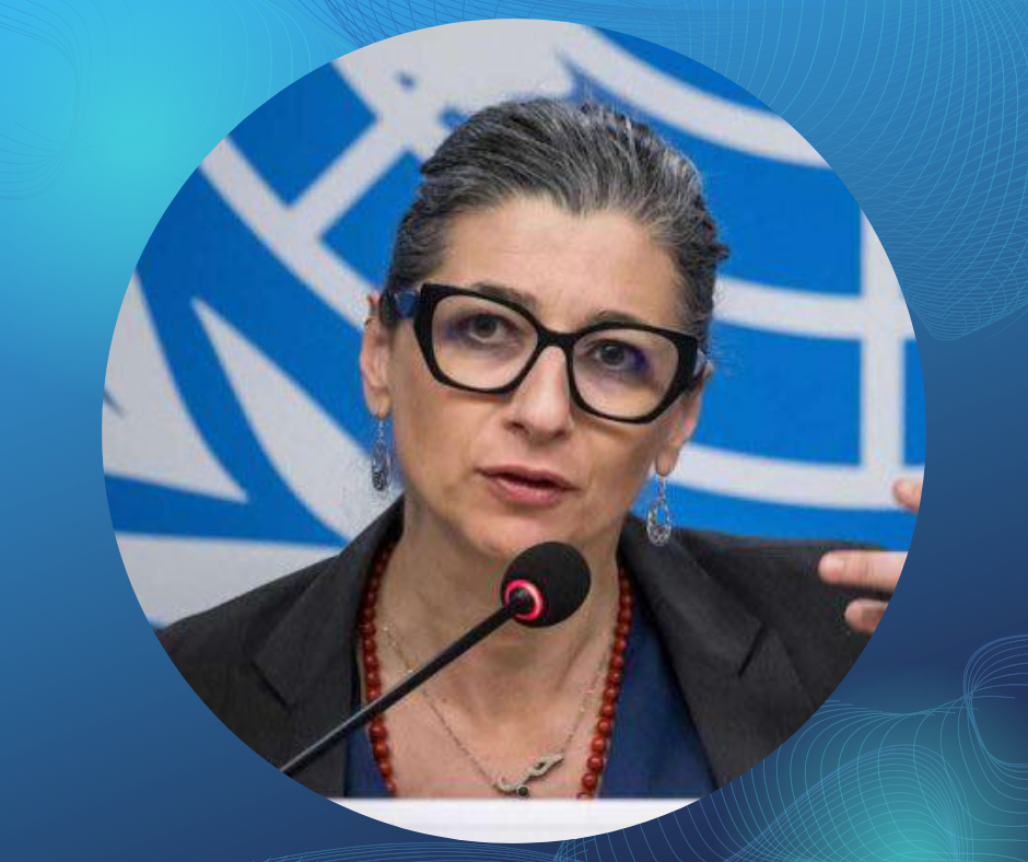 LDSF US Sanctions on UN Rapporteur Albanese Threaten Global Human Rights Mechanisms